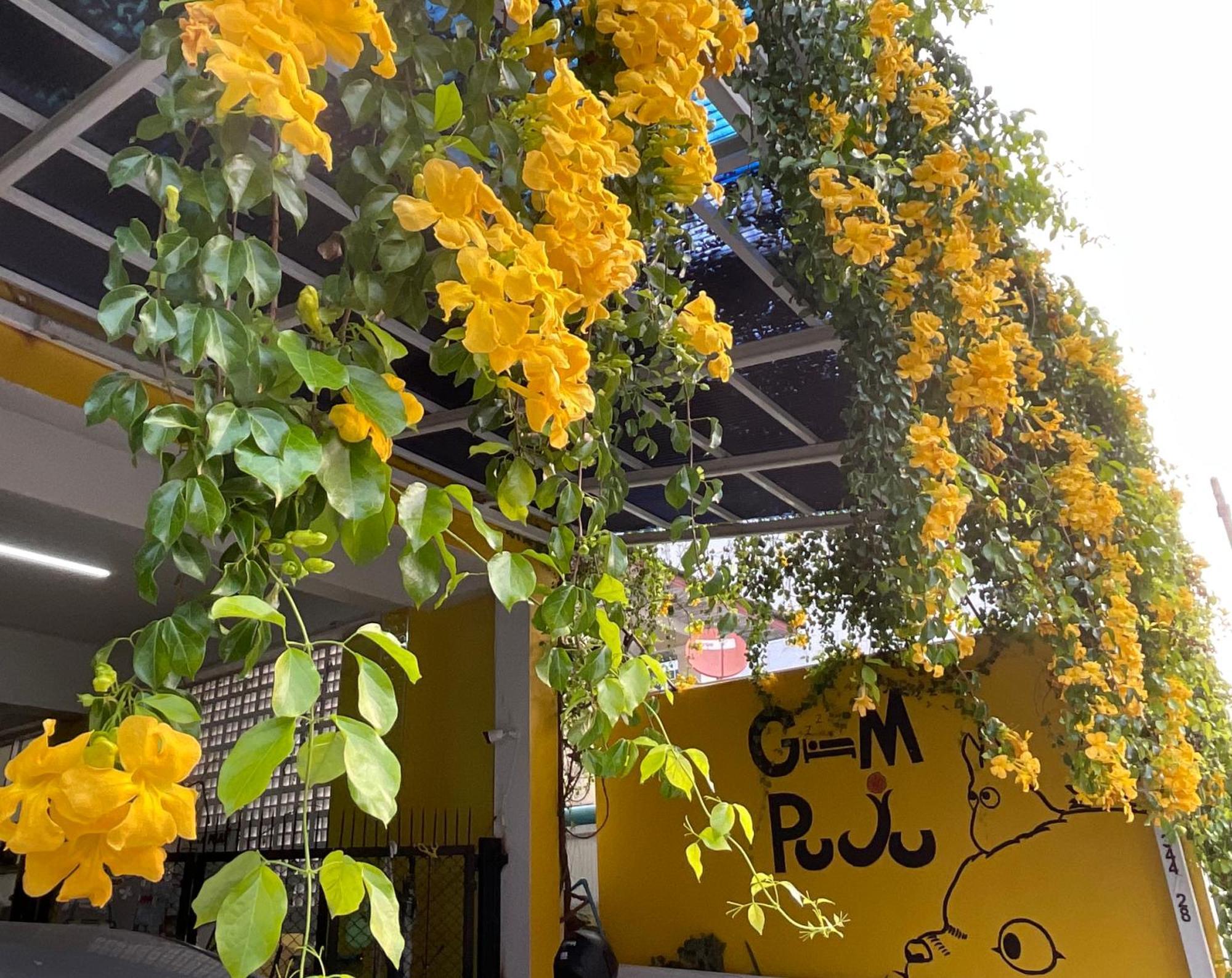 Hotel Gumpuju คำปู้จู้ Chiang Mai Exterior foto